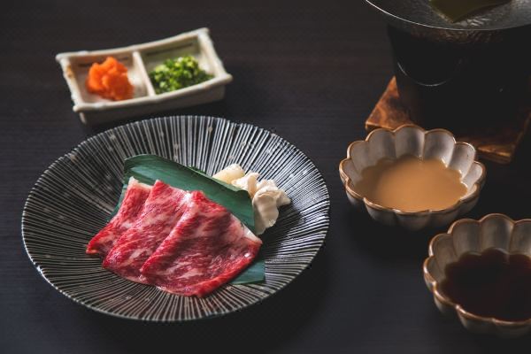 가미스와 온센 신유(Kamisuwa Onsen Shinyu)_3