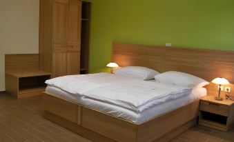 Pension Patrik - Housity