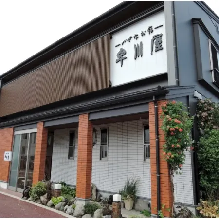 Hayakawaya Ryokan Отели в г. Мицукэ