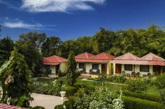 Jungle Retreat Ranthambore