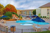 Best Western Plaza Inn Hotels in Pigeon Forge
