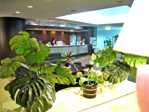 후지노미야 풍경 1