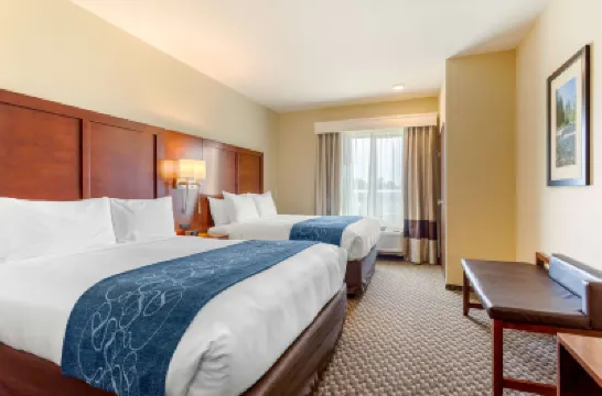 Comfort Suites Burlington Near I-5 Hotels in Burlington