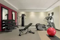 Home2 Suites by Hilton Troy - Træningscentre