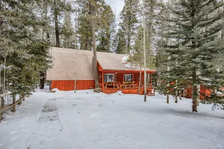 Cozy cottage nestled in the middle of Cloudcroft