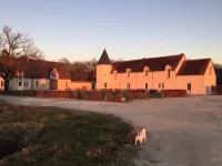 Magnificent house, near Beauval, private pool, tennis, quiet, 800 Ha property