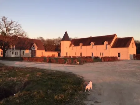 Magnificent house, near Beauval, private pool, tennis, quiet, 800 Ha property