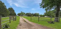 Luxury Round Top Farmhouse  / 6mil to The Square - 4-Star