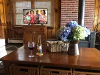 Quiet, Pristine Setting On Long Lake