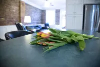 Shaffer Haus-Downtown Riverfront Retreat Hotels in Manistee