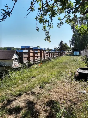 Urlaub auf dem Bauernhof - Mecklenburgische Seenplatte Отели в г. Фюнфзеен