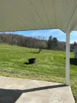 Cozy House, Sleeps 14 and 12 miles to the visitor center in Benezette, PA