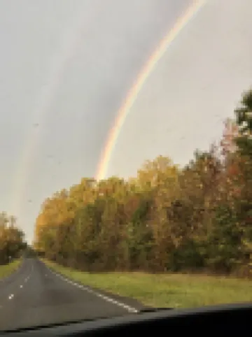 Lucky Charm Bungalow