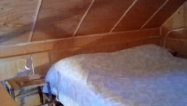 One bedroom cabin with inside toilet and stand up loft.  PET FRIENDLY!