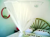 Casa Anita (Wild House) An oasis surrounded by nature 200 meters from the sea