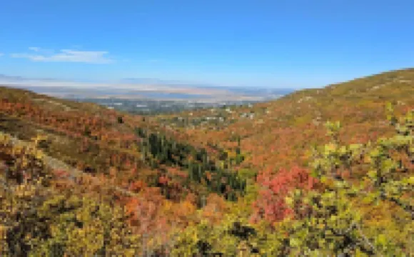 Charming Hideaway! Spacious Yard, BBQ, Games & Bright, Cheerful Vibes