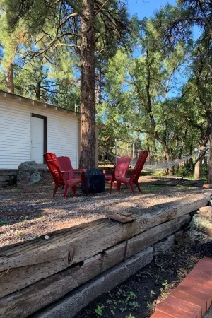 Hillside Cottage In The Pines With Great Views Отели в г. Уильямс