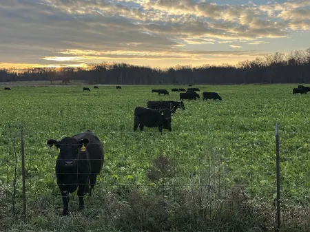 Red Barn Retreat - Shawangunk Mountains Getaway