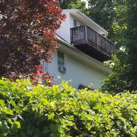 Newly refurbished, Sunny bright In-law suite.15 minute easy drive to Boston