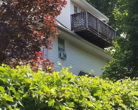 Newly refurbished, Sunny bright In-law suite.15 minute easy drive to Boston Hotels in Watertown