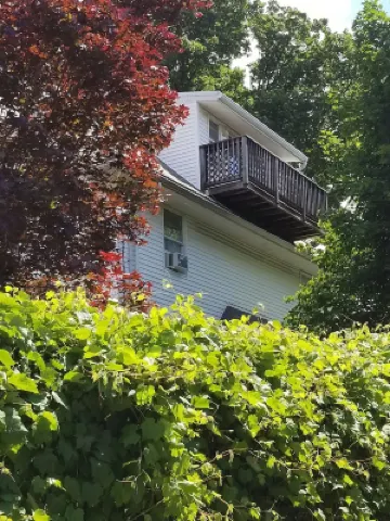 Newly refurbished, Sunny bright In-law suite.15 minute easy drive to Boston Hotels near Mount Auburn Cemetery