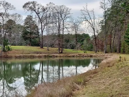 Great get a way--8 acres and pond, firepit peace and quiet