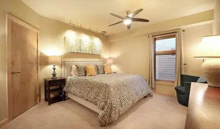 DOWNTOWN LUXURIOUS PENTHOUSE CONDO W/ PRIVATE SKI LOCKER