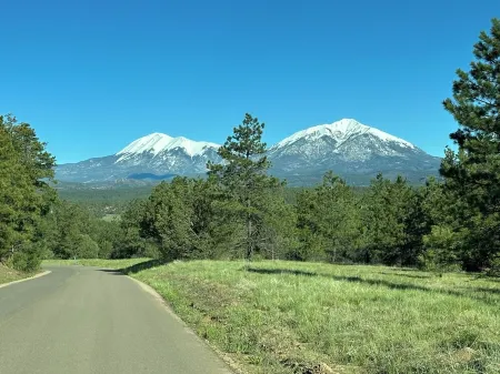 Rustic Oak Log Cabin in the Ponderosa Pines great for a quiet get away.