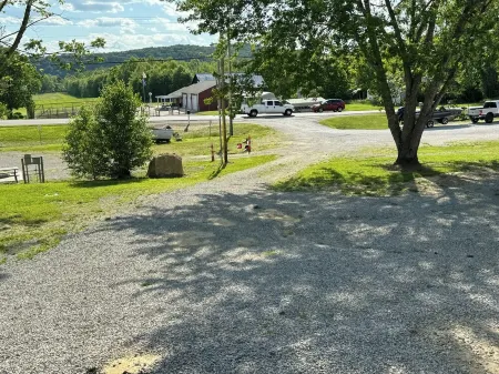 The Cove at Cave Run — Brand New Cottage minutes from Cave Run Lake