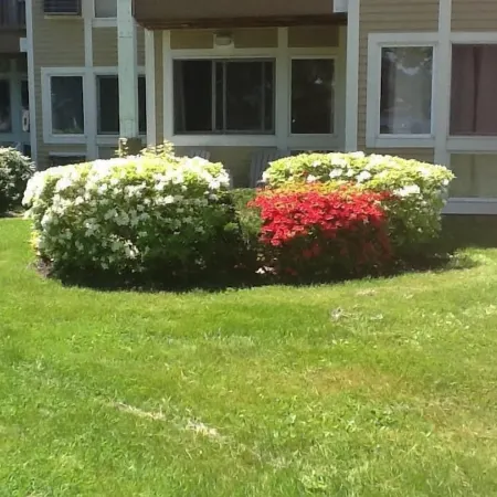 Misty Harbor Resort, Walk to Concerts at NH Bank Pavilion Beach on Lake Winni