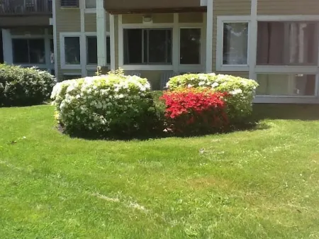 Misty Harbor Resort, Walk to Concerts at NH Bank Pavilion Beach on Lake Winni