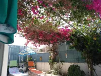 Bungalow with 40m2 terrace Hotels in Santa Pola