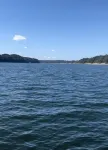 Bird House on 7th FairwayUpdated Lake Cumberland Condo - Woodson Bend Resort