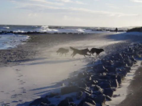 Vacation home with cottage garden on the Baltic Sea Hotels in Schonberger Strand