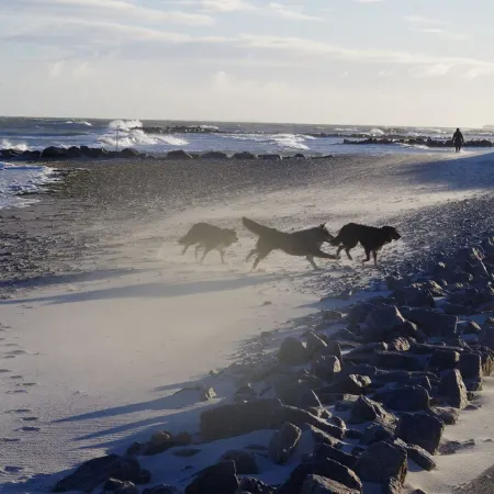 Vacation home with cottage garden on the Baltic Sea Отели в г. Шёнберг