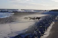 Vacation home with cottage garden on the Baltic Sea