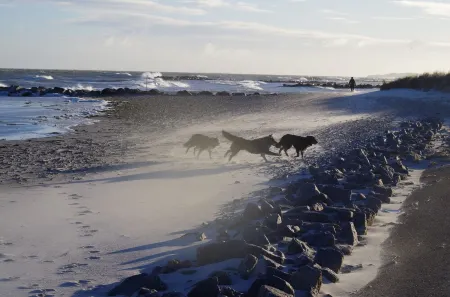 Vacation home with cottage garden on the Baltic Sea