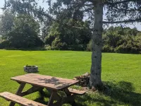 Dog-Friendly large rural Estate just outside Alex Bay with hot tub and pool!