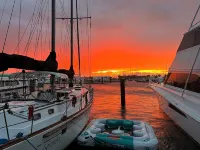 Living Life Dockside