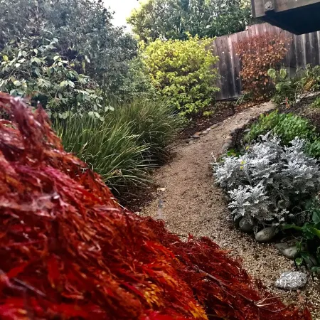 4th house from Twin Lakes Beach and a 2 minute walk to the Crow’ Nest and Harbor