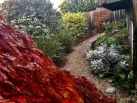 4th house from Twin Lakes Beach and a 2 minute walk to the Crow’ Nest and Harbor