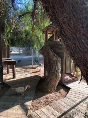 Farm Treehouse; GLAMPING IN THE WINE COUNTRY! 501c3