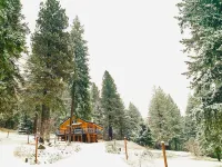 Cabin in the woods, with lake view and hot tub