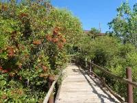 Eskapo Verde Moalboal Hotels in Badian