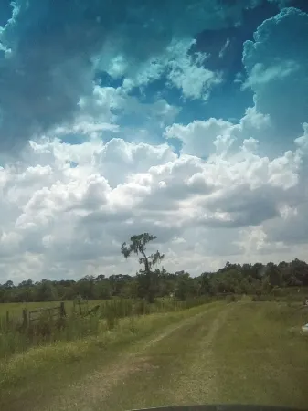 This old Florida feeling getaway is 420 friendly and a great place to just relax