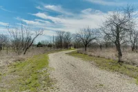Frontier Cabin - Star Gazing - Pet Friendly