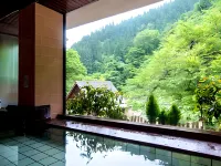 Senjo Onsen Seiryu Hotels in Hakusan