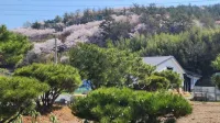 Gangjin Sandeul Farm Pension Hotels in Jangheung-gun