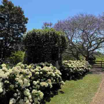 Luxury Farm Escape in Maleny - 2 minutes to Maleny Town Hotel Exterior
