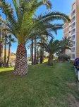 Luxurious 1st Line Top-Floor Apartment with Direct Sea Access Hotels in El Campello